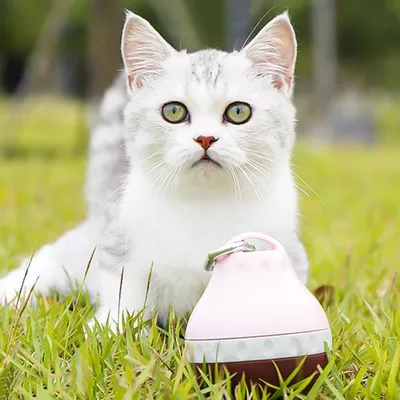 Petopia Distributeur d'eau portable pour chien