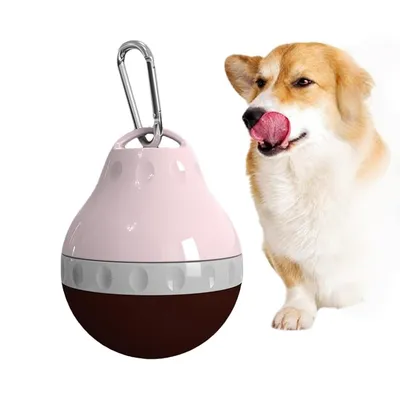 Petopia Distributeur d'eau portable pour chien