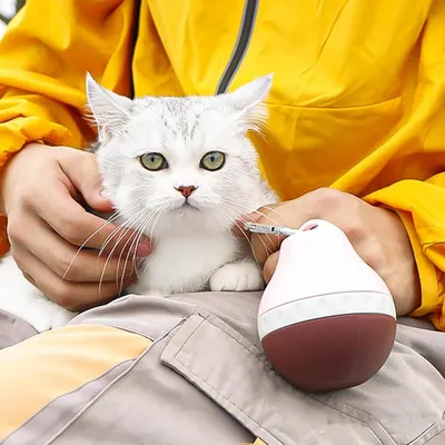 Petopia Distributeur d'eau portable pour chien