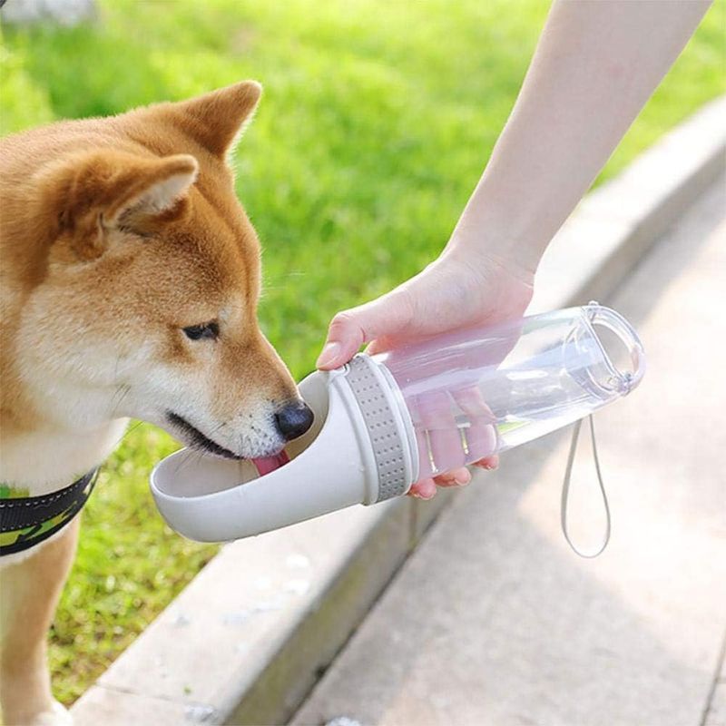 Petopia Bouteille d'eau de voyage pour chien