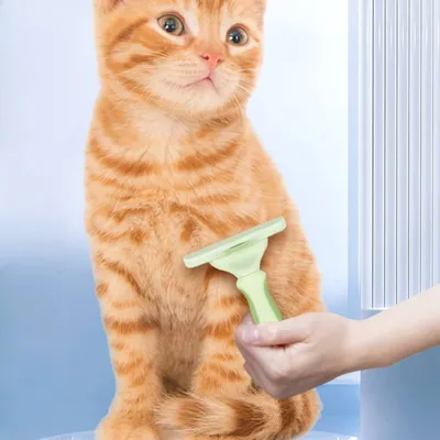 Petopia Peigne anti - poils pour animaux de compagnie