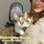 UAMLY Gants de toilettage pour animaux de compagnie