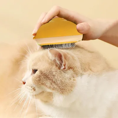Zenpets Brosse pour chat avec bouton de déverrouillage