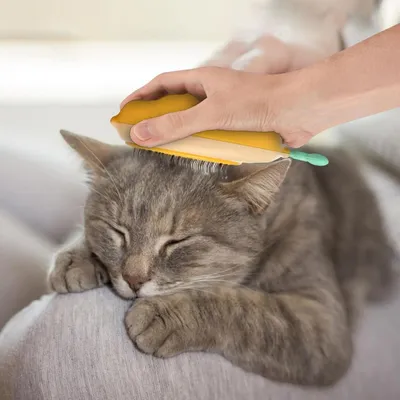 Zenpets Brosse pour chat avec bouton de déverrouillage
