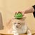 Zenpets Brosse pour chat avec bouton de déverrouillage