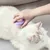 Petopia Brosse pour chat et chien