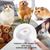 IntiMeg Brosse de douche pour chiens,Nettoyage à sec