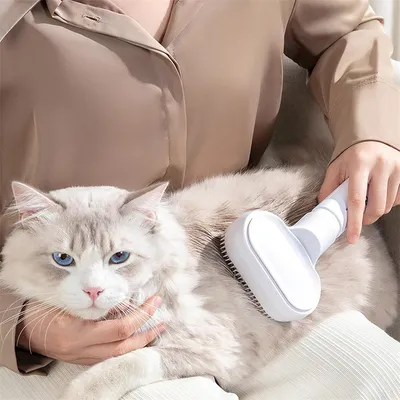 IntiMeg Brosse de douche pour chiens,Nettoyage à sec