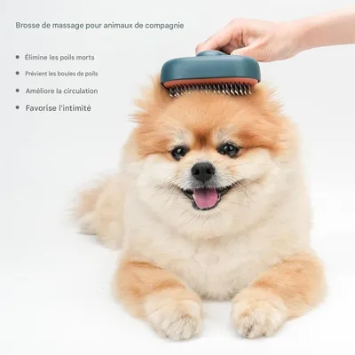 IntiMeg Brosse autonettoyante pour chat et chien