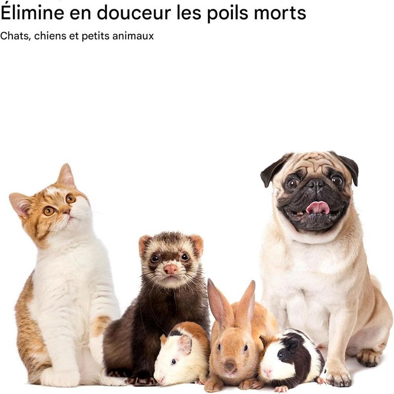 IntiMeg Brosse autonettoyante pour chat et chien
