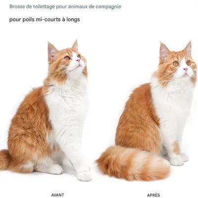 IntiMeg Brosse autonettoyante pour chat et chien