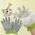 Zenpets Gants de toilettage pour animaux