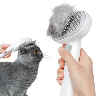 IntiMeg Brosse autonettoyante à vapeur pour chat