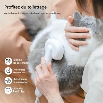 IntiMeg Brosse autonettoyante à vapeur pour chat