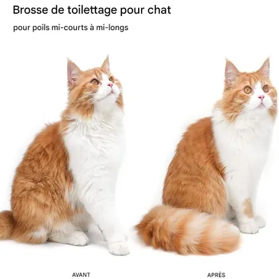 IntiMeg Brosse autonettoyante à vapeur pour chat