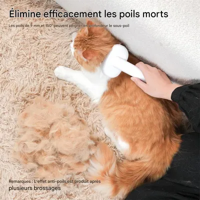 IntiMeg Brosse autonettoyante à vapeur pour chat