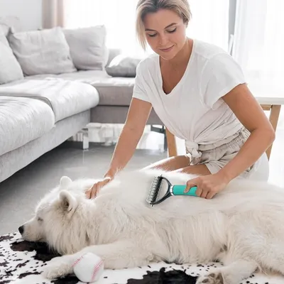 IntiMeg Brosse de toilettage pour chien et chat