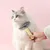 Petopia Peigne anti-poil et anti-nœud pour chats