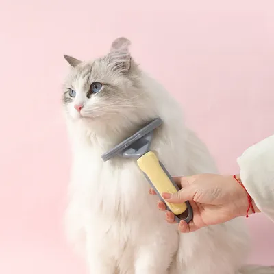 Petopia Peigne anti-poil et anti-nœud pour chats