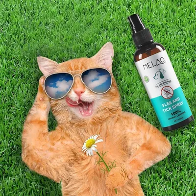 Petopia Spray antipuces pour animaux de compagnie de 100 ml