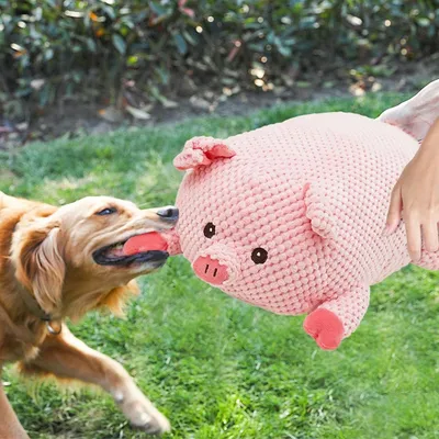 Petopia Jouet à mâcher pour chien