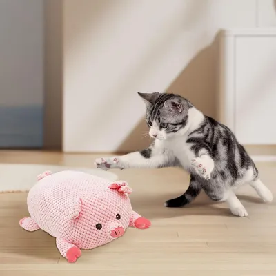 Petopia Jouet à mâcher pour chien