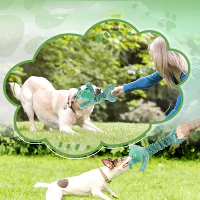 UAMLY Jouets bruyants pour chiens