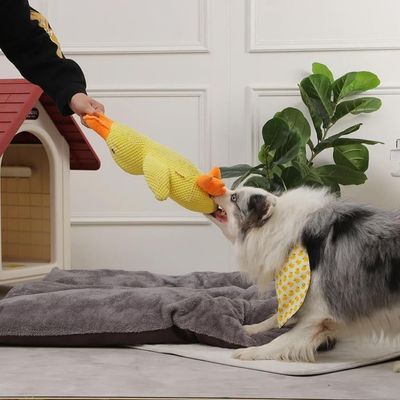 Petopia Jouet canard bruissant pour animal de compagnie