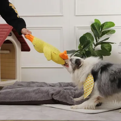 Petopia Jouet canard bruissant pour animal de compagnie