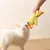 Petopia Jouet canard bruissant pour animal de compagnie