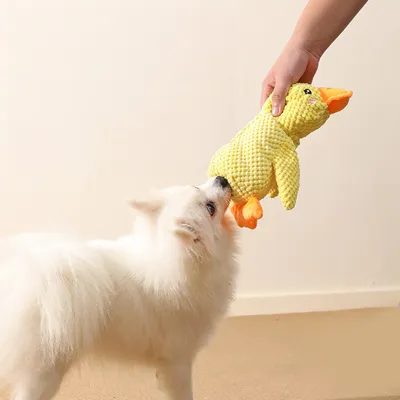 Petopia Jouet canard bruissant pour animal de compagnie