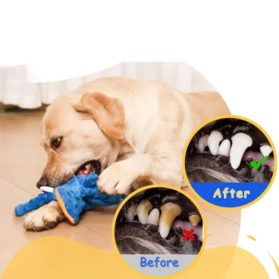 UAMLY Jouet sonore interactif pour chien