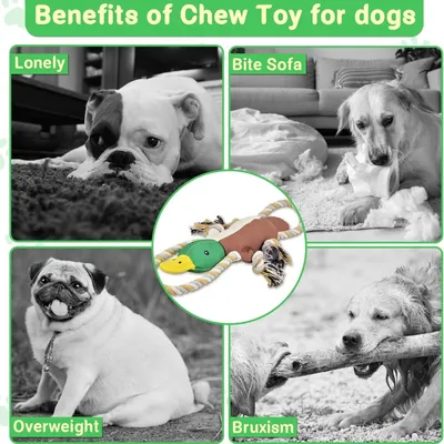 Petopia Jouet couineur pour chien