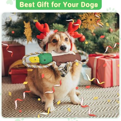 Petopia Jouet couineur pour chien