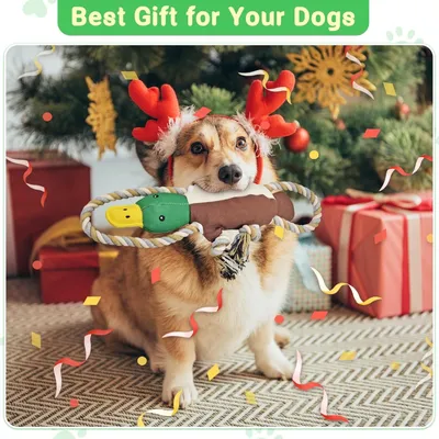 Petopia Jouet couineur pour chien