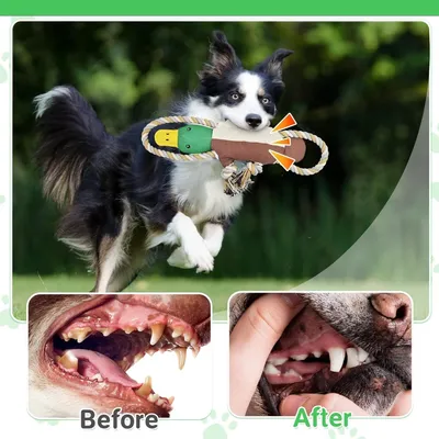 Petopia Jouet couineur pour chien