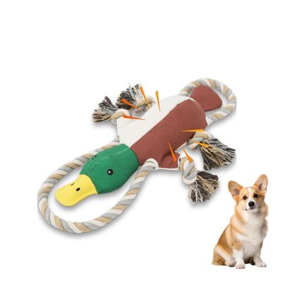 Petopia Jouet couineur pour chien