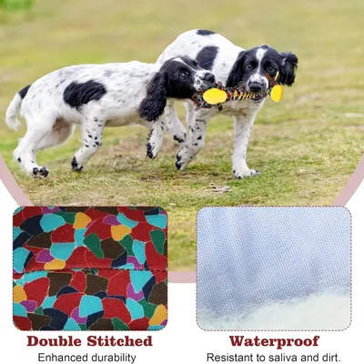 Petopia Jouet pour chien robuste