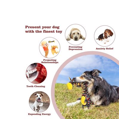 Petopia Jouet pour chien robuste