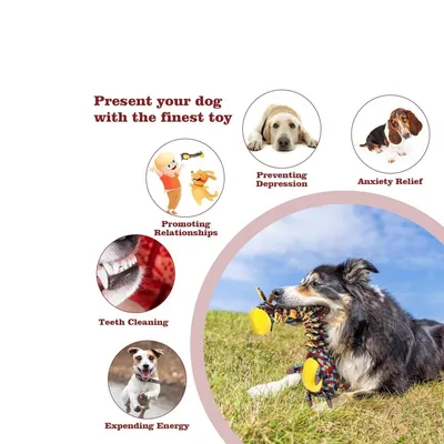 Petopia Jouet pour chien robuste