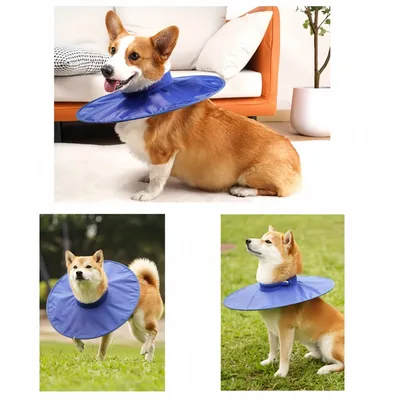 FurryFusion Collerette de protection pour chien et chat