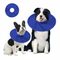 FurryFusion Collerette de protection pour chien et chat S