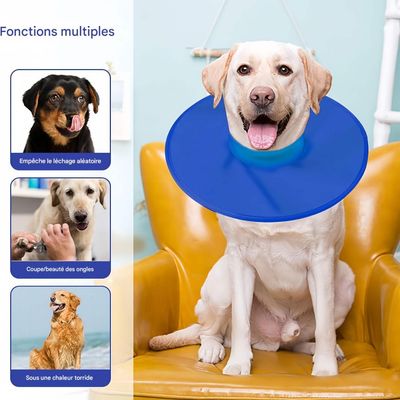 FurryFusion Collerette de protection pour chien et chat