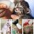 ZenPets Biberon Chaton Pour Chat Et Chien