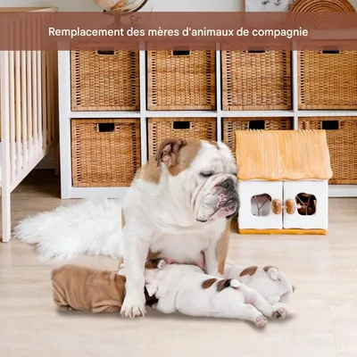 ZenPets Comedero ajustable de silicona cachorros gatitos recién nacidos