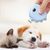 Petopia Trimmer des ongles électriques pour chien