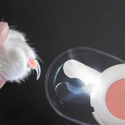 Petopia Ciseaux à griffes pour chats et chiens avec LED