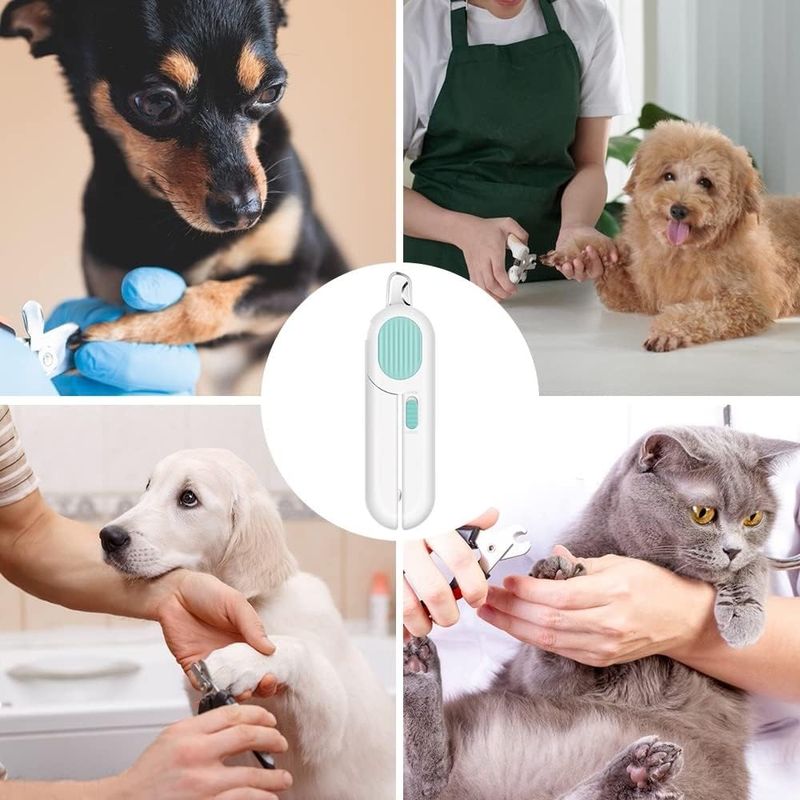 Petopia Tondeuse d'ongles pour chats