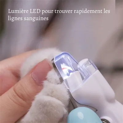 Petopia Gilet de sauvetage pour chien en forme d'abeille pour l'été