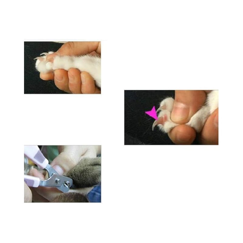 Petopia Ciseaux pour ongles d'animaux de compagnie avec manche en forme